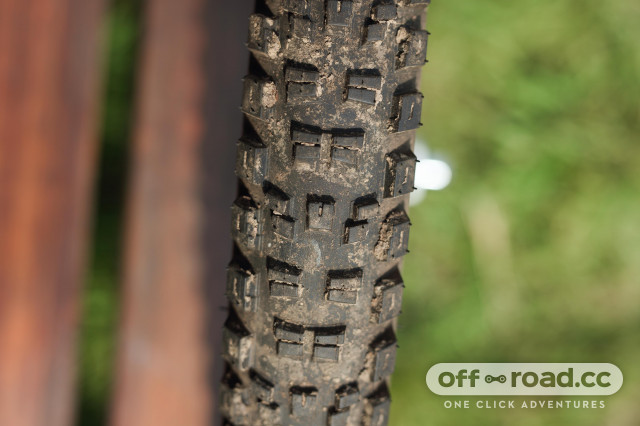 Specialized Eliminator GRID TRAIL 2Bliss Ready tyre review off